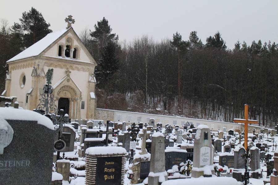20141230_105444.JPG